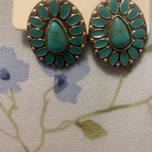 Turquoise Teardrop Earrings